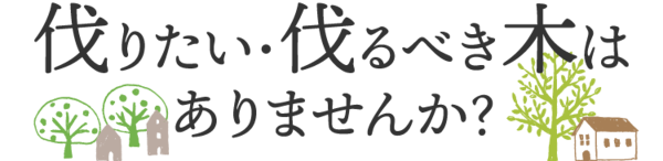 伐りたい・伐るべき木はありませんか？