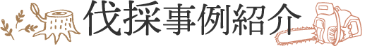 伐採事例紹介