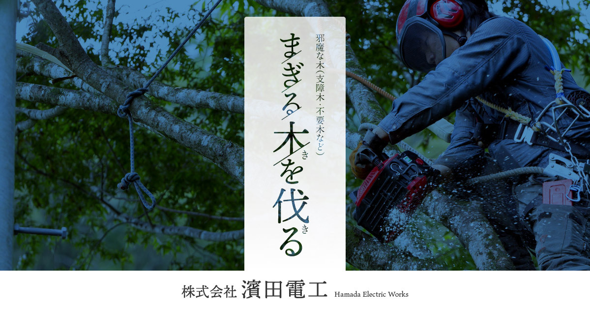 伐採承ります！まぎる（邪魔な）木を伐る（切る）｜濱田電工 高知
